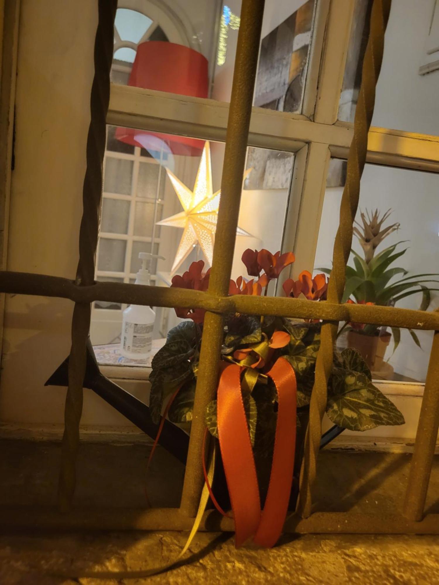 مبيت وإفطار تريفيزو 19 Borgo Cavour المظهر الخارجي الصورة
